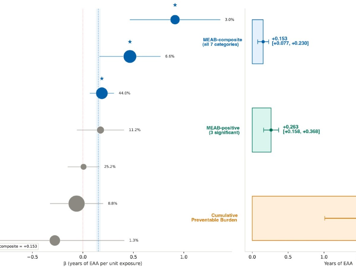 Epigenetic Age Acceleration as a Modifiable Public Health Target: A Systematic Review and Meta-Analysis of Environmental, Behavioral, and Social Determinants with Development of the&nbsp;MEAB-Index